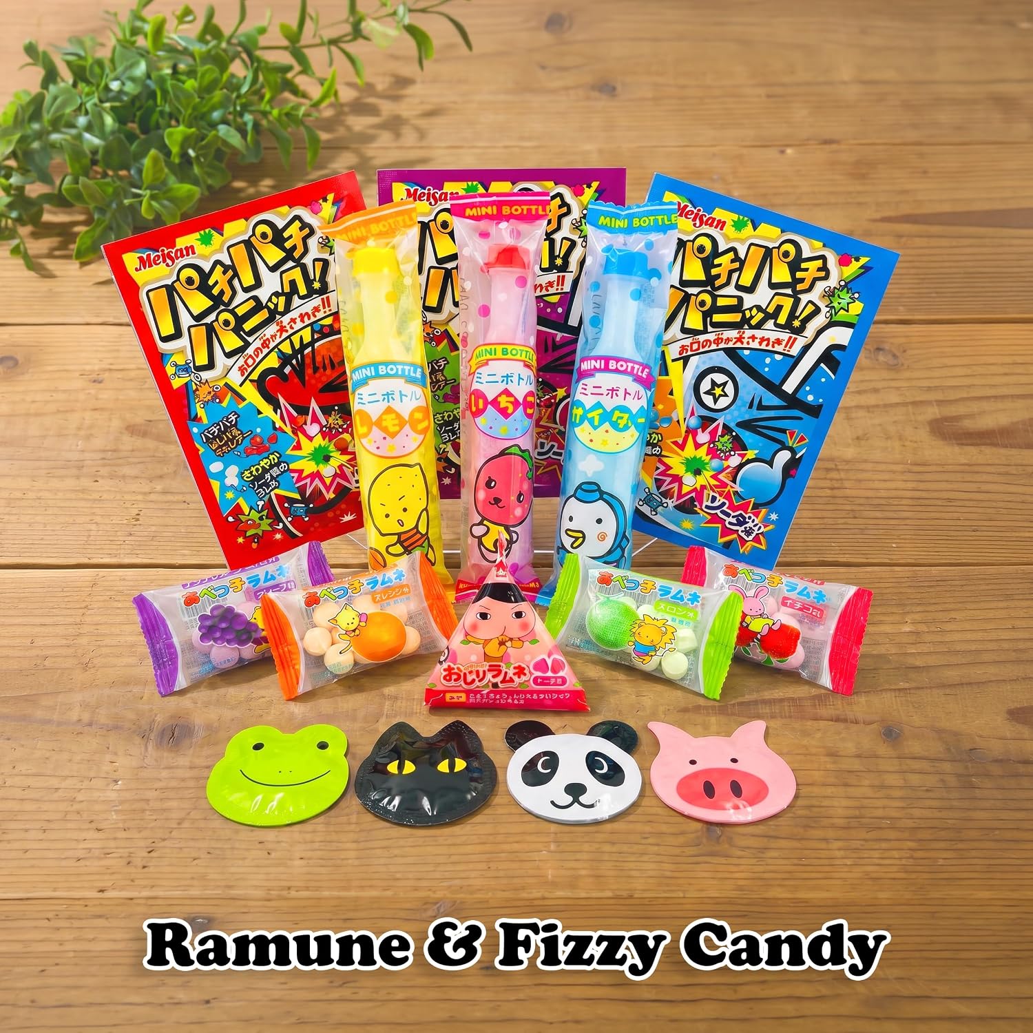 Sakura Box Japanese Snacks & Candy 50 Piece Dagashi Gift Box Set